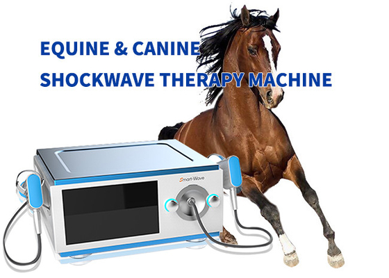 Attrezzatura equina di terapia dell'onda di urto del cavallo a basso rumore per dolore BS-SWT5000