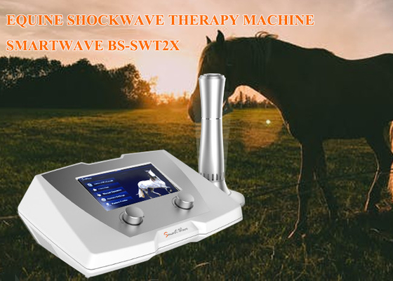 Della clinica del cavallo di Shockwave di terapia di frequenza delle macchine 1 - 22 hertz per la malattia sospensiva del legamento